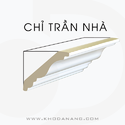 Chỉ trần nhà