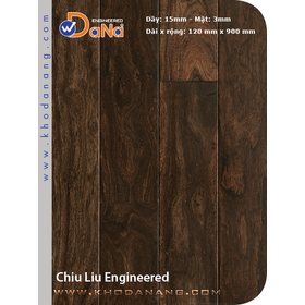 Chiu liu Dana Engineered 