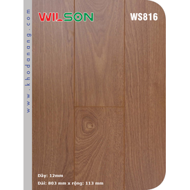 Sàn gỗ Wilson WS816