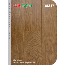 Sàn gỗ Wilson WS817