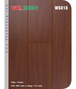 Sàn gỗ Wilson WS818