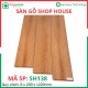Shophouse 8mm