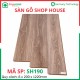 Shophouse 8mm