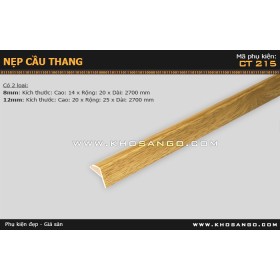 Nẹp nhựa cầu thang CT-215