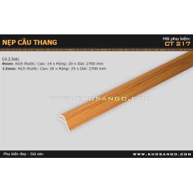 Nẹp nhựa cầu thang CT-217