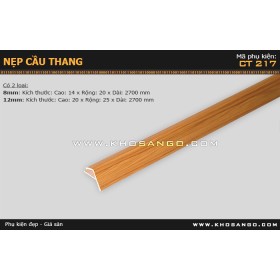 Nẹp nhựa cầu thang CT-217