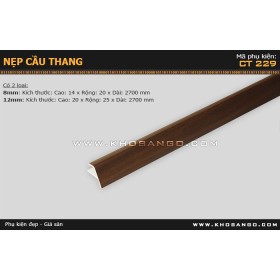 Nẹp nhựa cầu thang CT-229