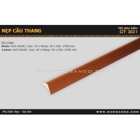 Nẹp nhựa cầu thang CT-301