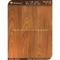 Sàn gỗ Robina T12 - 12mm